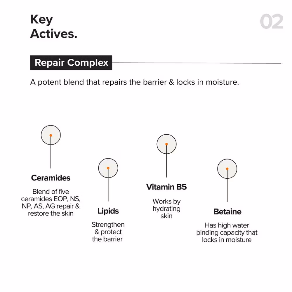Minimalist - B12 + Repair Complex 5.5% - Face Moisturizer