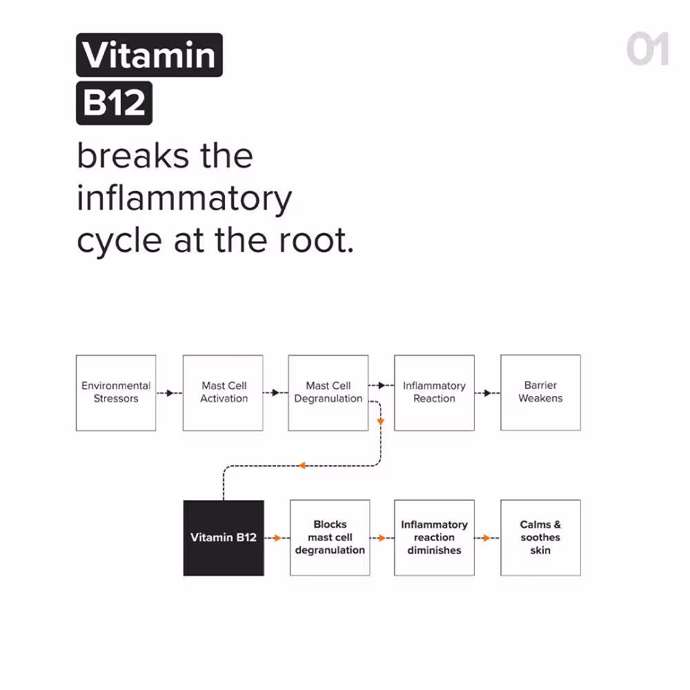 Minimalist - B12 + Repair Complex 5.5% - Face Moisturizer