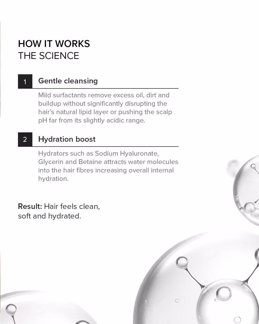 Minimalist - Hydrating Factors 7.3% - Hair Shampoo