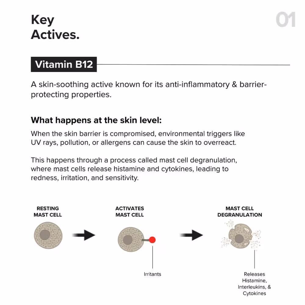 Minimalist - B12 + Repair Complex 5.5% - Face Moisturizer