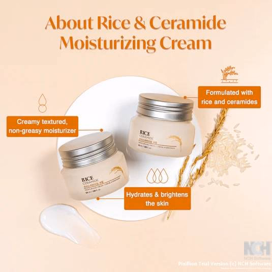 The Face Shop - Rice & Ceramide - Moisturizing Cream