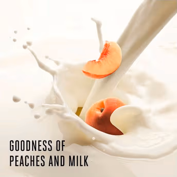 Lakme Peach Milk Ultra Light Gel Moisturizer