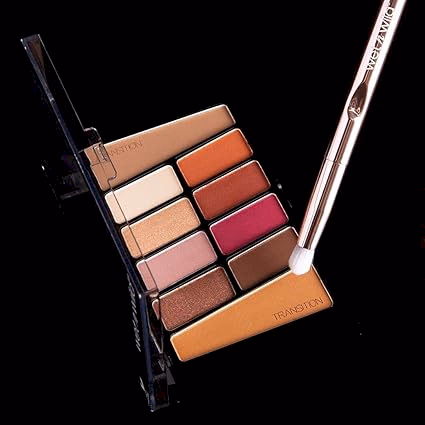 Wet n Wild Color Icon Eyeshadow 10 Pan Palette - Ros├⌐ In The Air