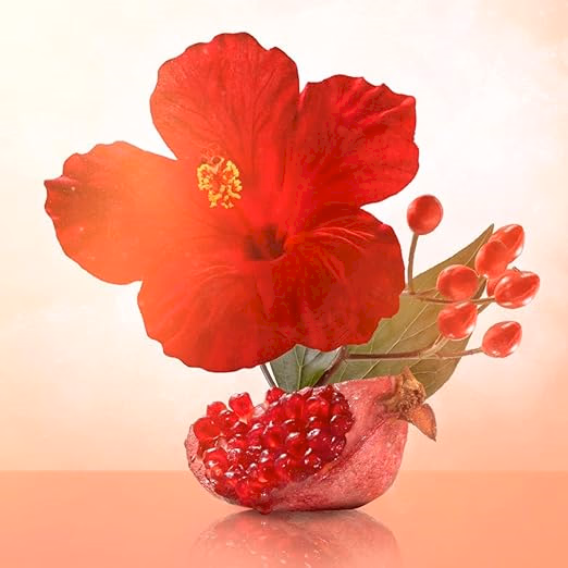 Bvlgari - Omnia Coral - Eau de Toilette