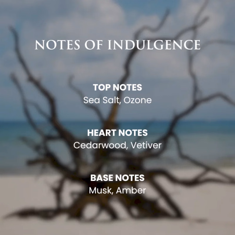 ROSEMOORE - DRIFTWOOD - HOME SCENT