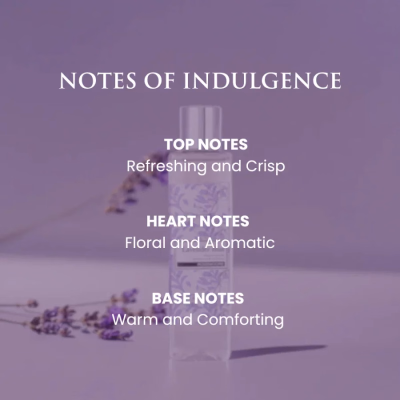 ROSEMOORE - LAVENDER BLUE - SCHHILF DIFFUSOR NACHFULL OIL