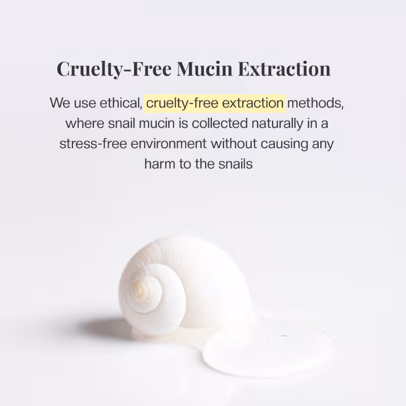Mirabelle Korea - Snail - Recovery Essence