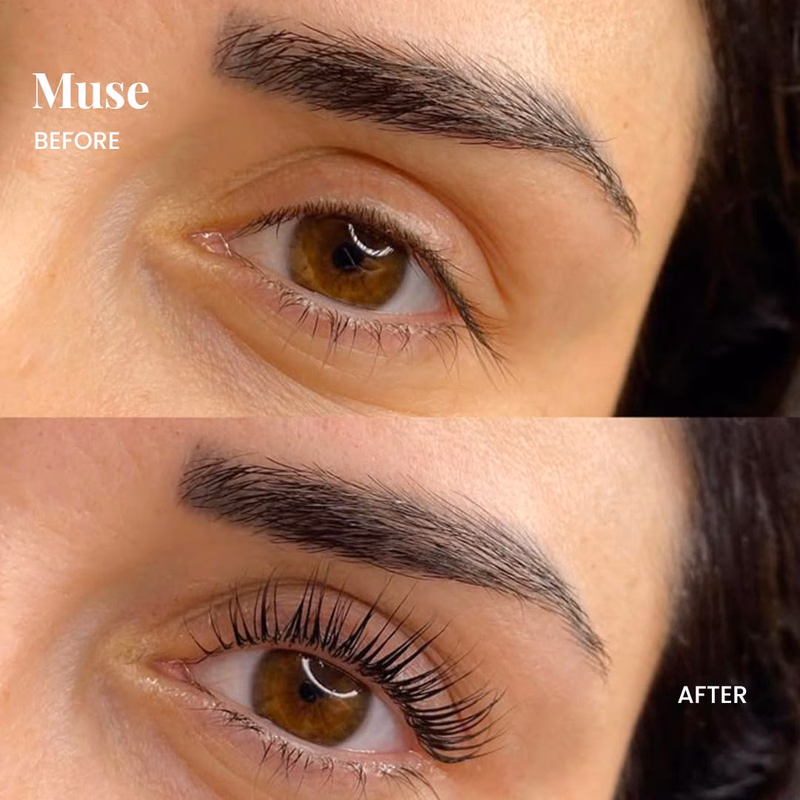 Noak - Muse - Eye to Eye 3D False Eyelashes