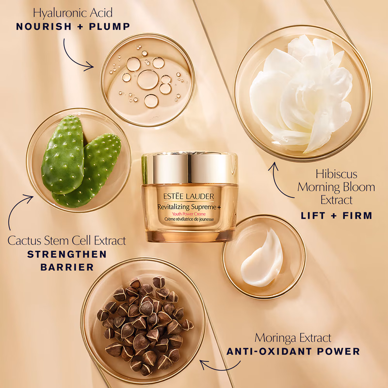 Estee Lauder - Unfiltered Morning Radiance - Advanced Night Repair - Skincare Gift Set