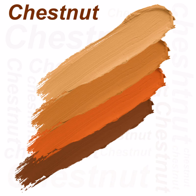 Daily Life Forever52 - Chestnut - 4 Color Concealer