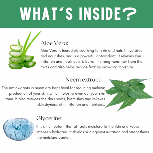 Skin Secrets - Neem & Aloe - Skin Toner