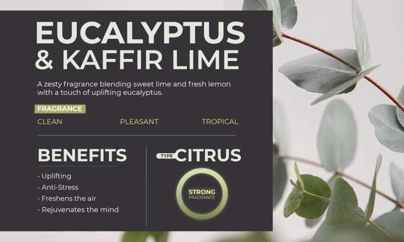 Rosemoore - Eucalyptus and Kaffir Lime - Scented Reed Diffuser
