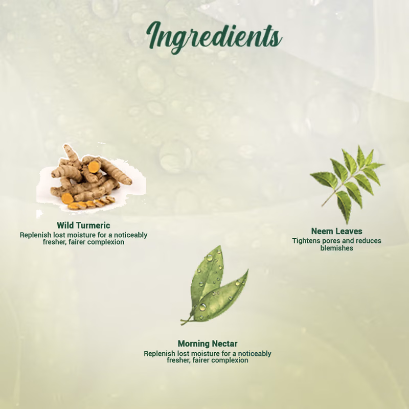 Biotique - Morning Nectar - Moisturize & Nourish - Face Wash