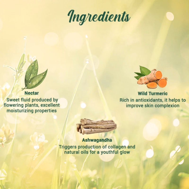Biotique - Morning Nectar - Nourish & Hydrate - Moisturizer