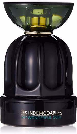 Les Indemodables - My Wonderful Oud - Albane Noble