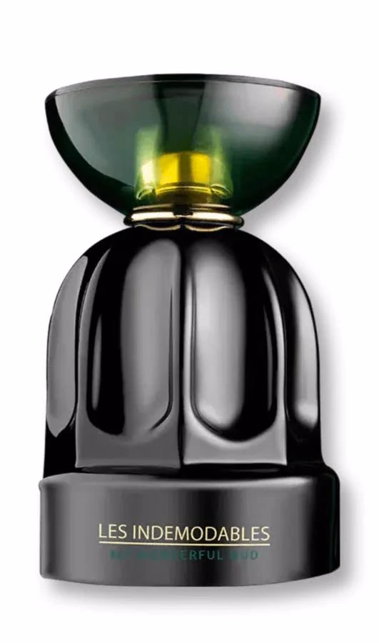 Les Indemodables - My Wonderful Oud - Albane Noble