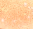 SHIMMER ROSE