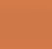BRONZE BLAZE