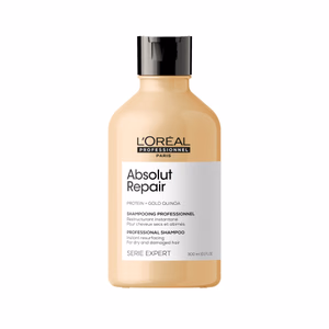 ABSOLUT REPAIR 