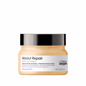 ABSOLUT REPAIR 